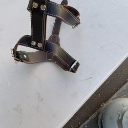 Pit Bull Harness 
