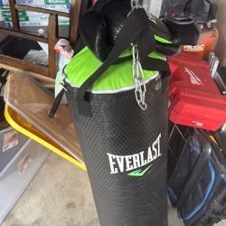 Everlast Punching Bag 