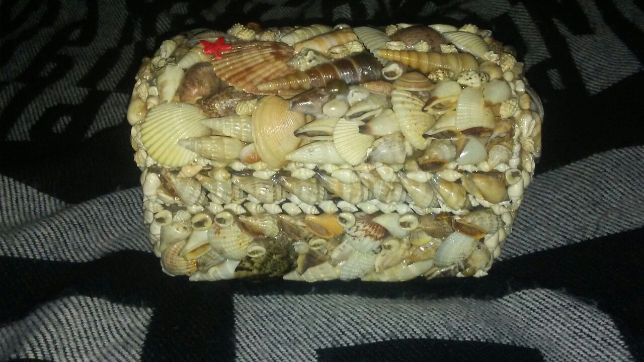 Seashell jewelry box