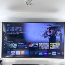 Vizio 65 Inch TV