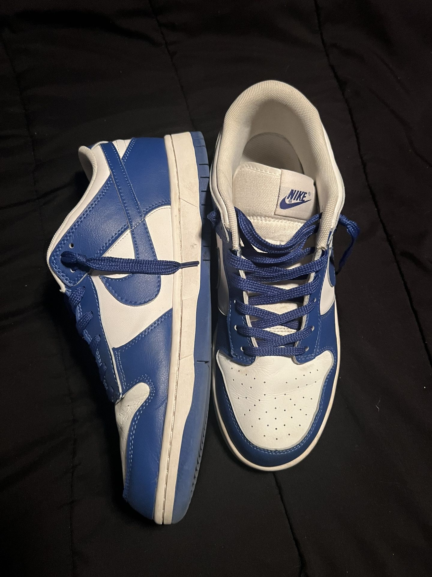 Kentucky Nike Dunks