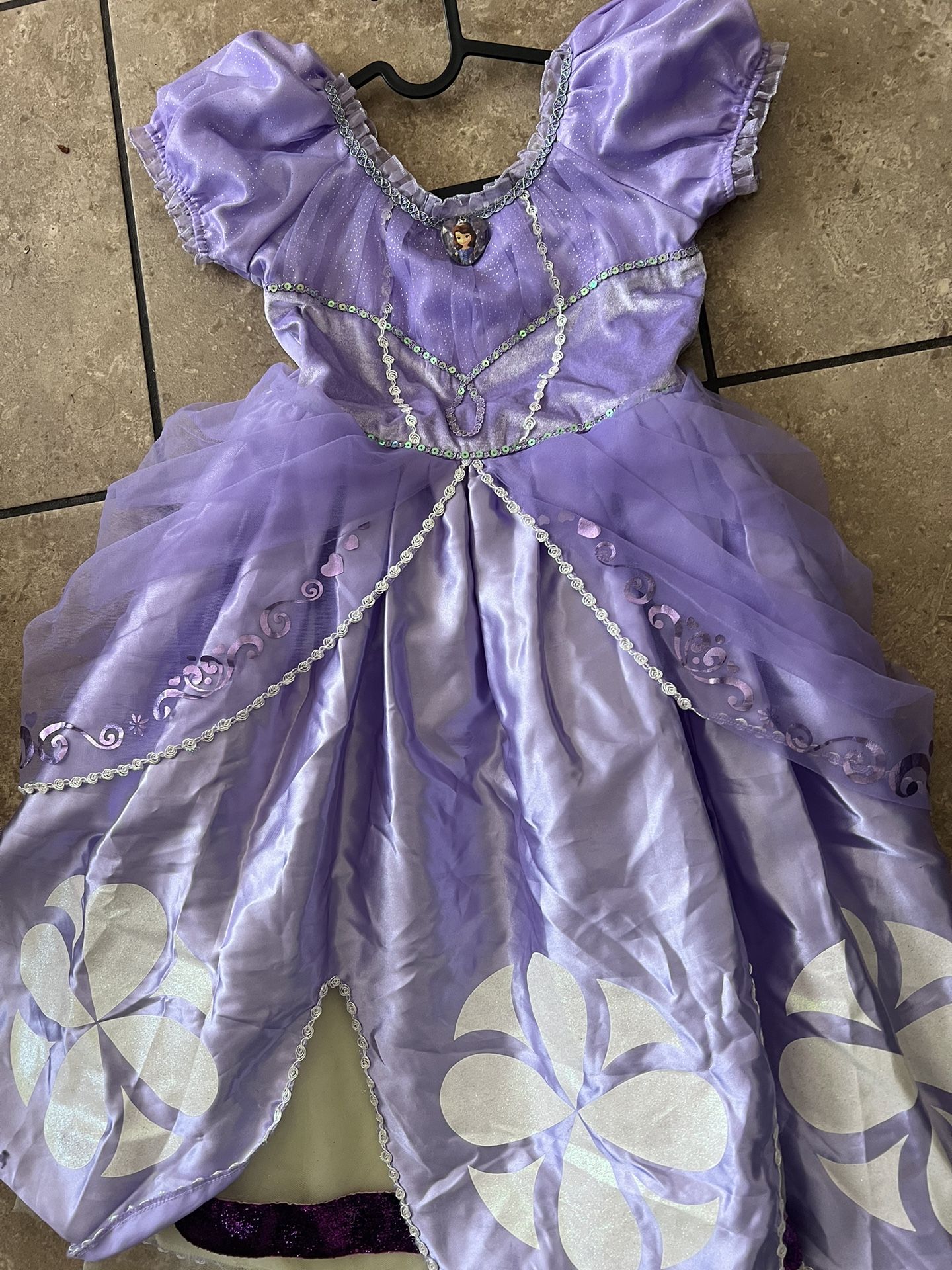 Disney Princess Sophia Halloween Costume