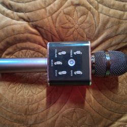 Silver Karaoke Microphone