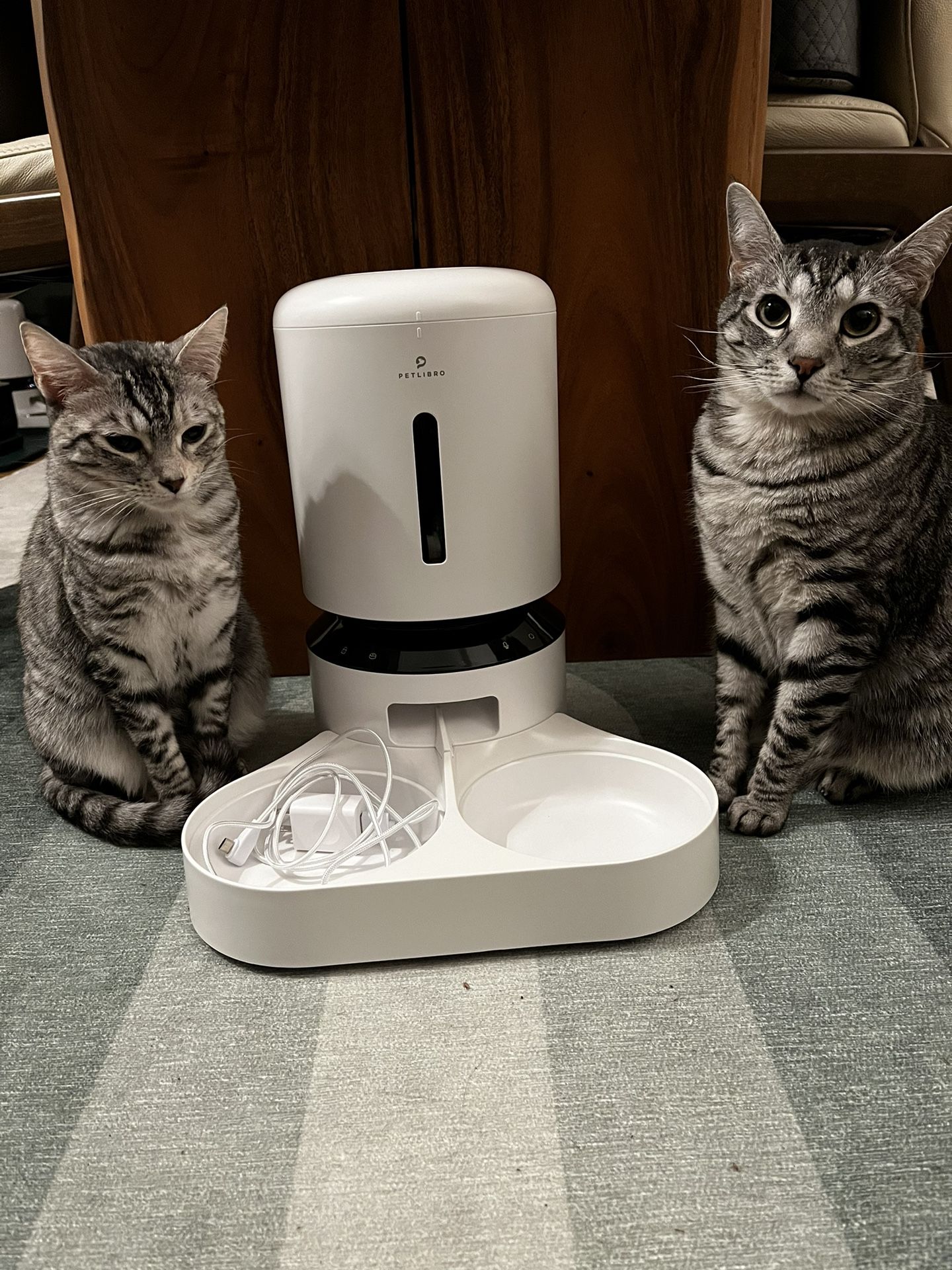 Petlibro Feeder