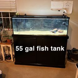55 Gallon Fish Tank (stand included)