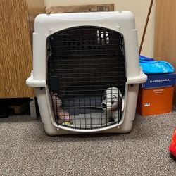 Bargain Hound Large Dog Crate