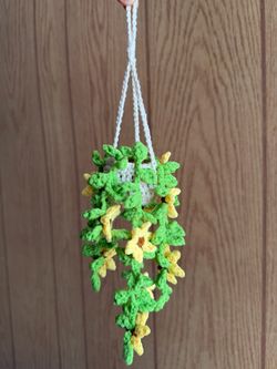 Crochet Hanging plants