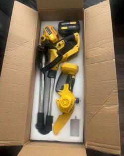 21V Cordless Pole Saw and Mini Chainsaw Kit