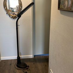 Ottlite Floor Lamp