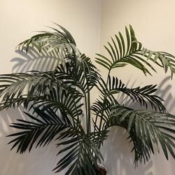 Faux Palm Plant With White Pot