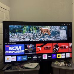 LG 75 inch TV