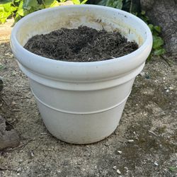 Large Plant Pot 