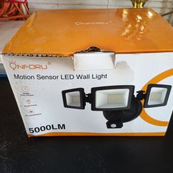 Motion Sensor LED Wall Light 