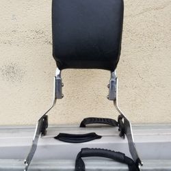 Harley Back Seat