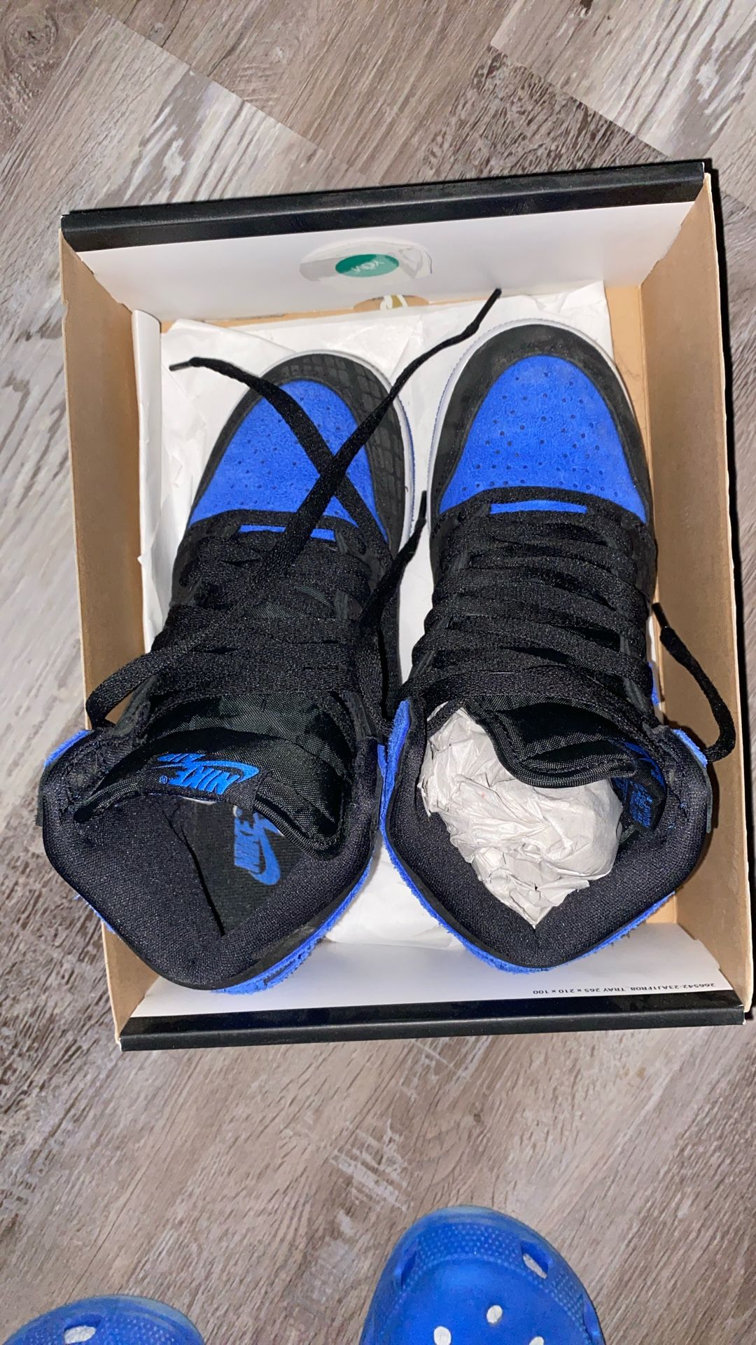 Nike Shoes