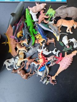 Animals
