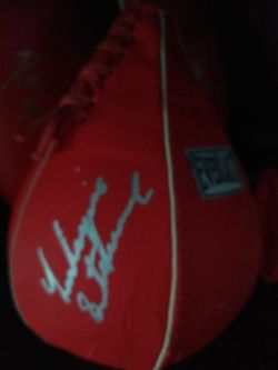 Leo Santacruz/Carl Frampton Autographed Everlast 4 Lb Speed Bag