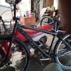 Throne 29 in bmx bicycle