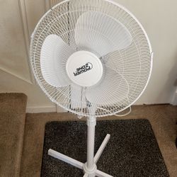 Fan 