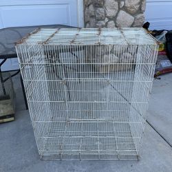 Bird Cage $30 