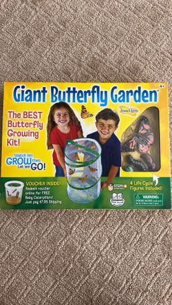 Giant Butterfly Garden