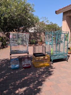 Bird cages for sale