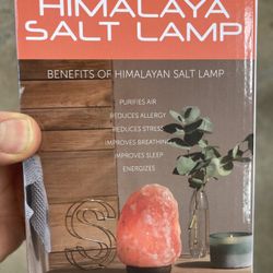 Salt Lamp, Air Purifier, 5-6 Inches Tall