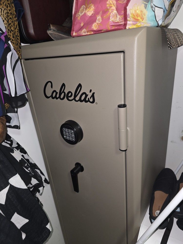 Big Gun Safe