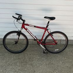 Raleigh m60 Mountain Bike XL