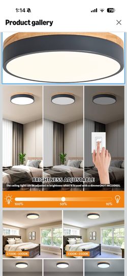 Adjustable light