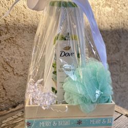 Women’s Dove Body Wash And Shower Mesh Sponge Set