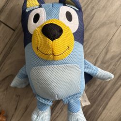 Bluey Water Toy