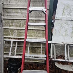 6ft Werner Ladder