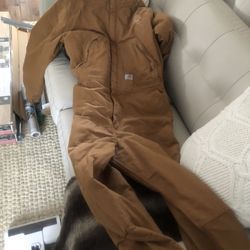 Carhartt One Piece Overalls