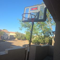 Basketball Hoop