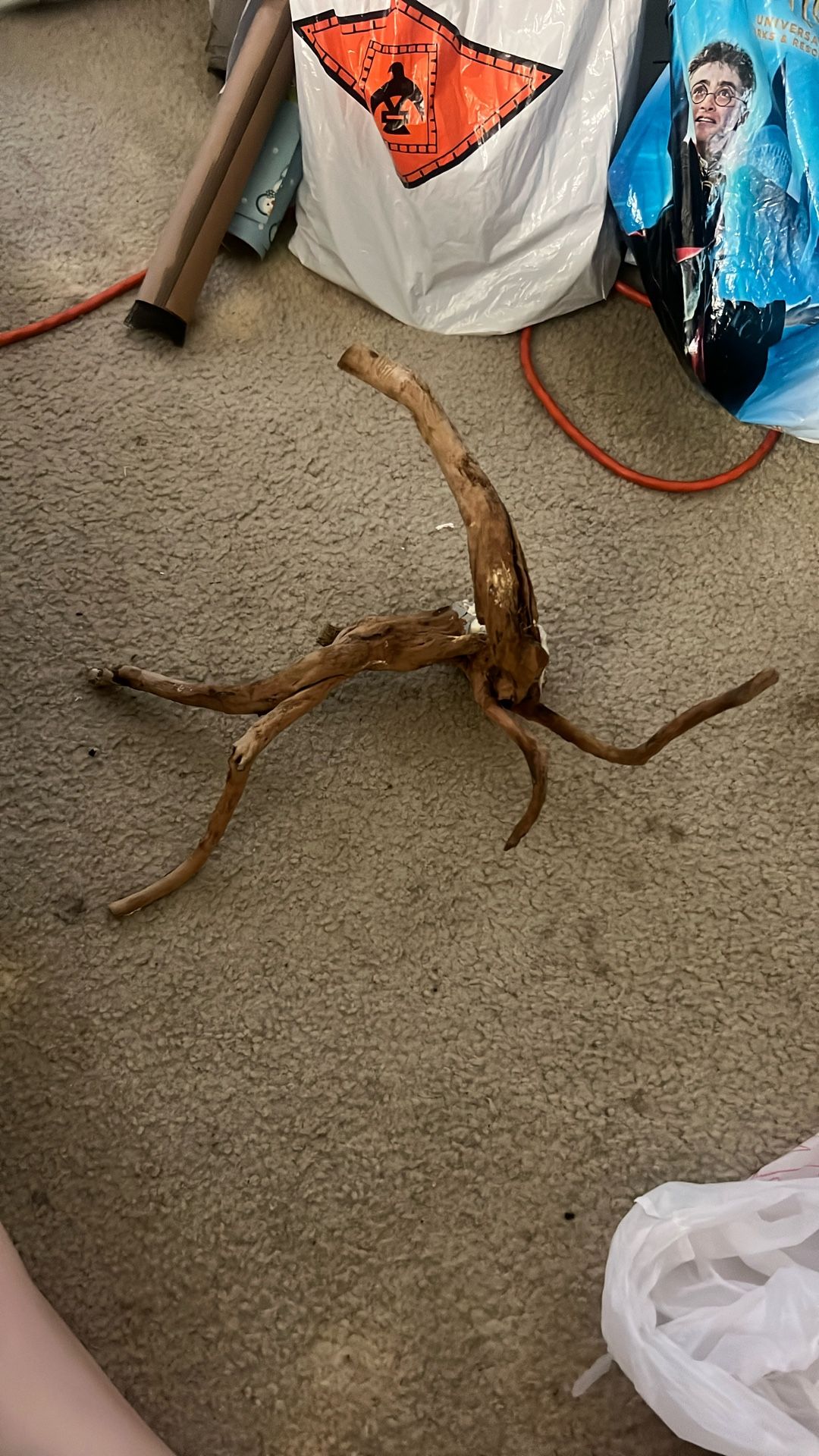 Spider Wood for Terrarium