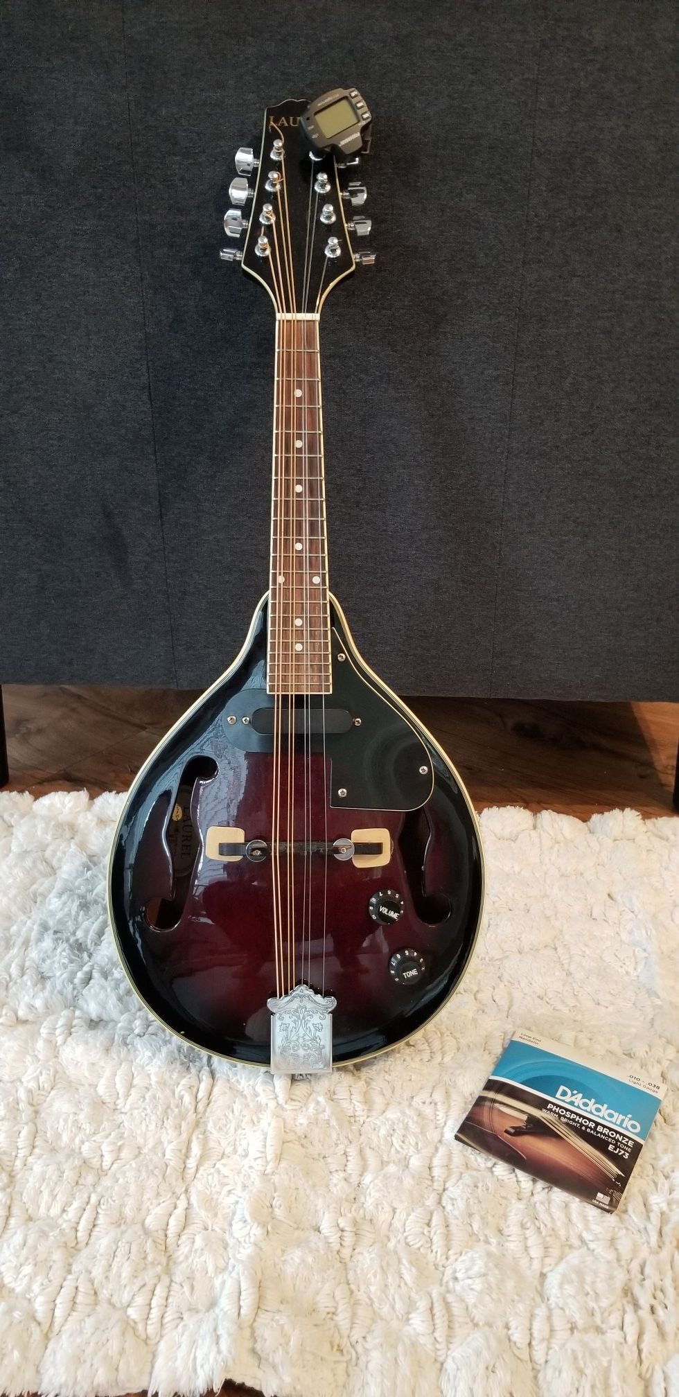 Mandolin (electric)