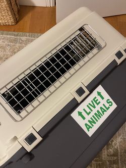 Small Pet Cargo Travel