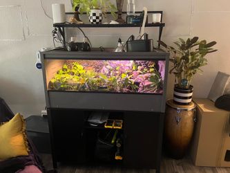 Bioactive Reptile Tank