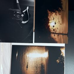 Animal , Nature ,portraits 