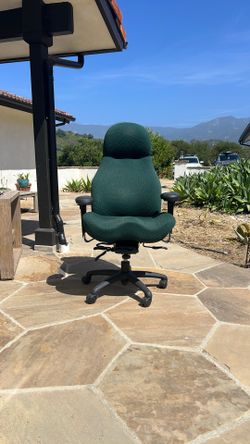 Lifeform Ergonomic Desk Chair