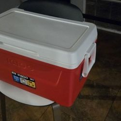 Igloo Cooler 48 QT