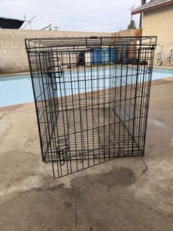 dog kennel