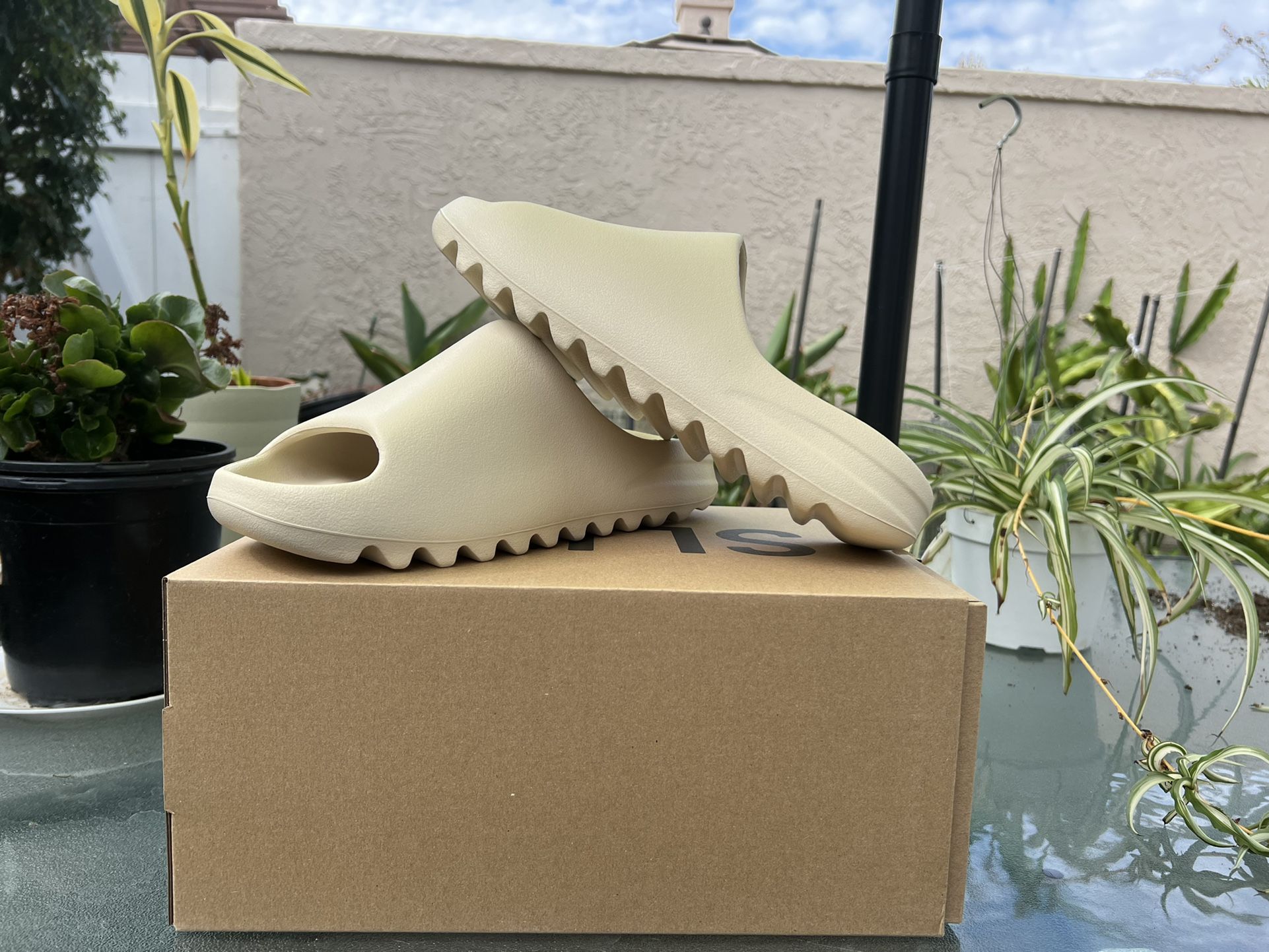Yeezy Slides Bone Size 12