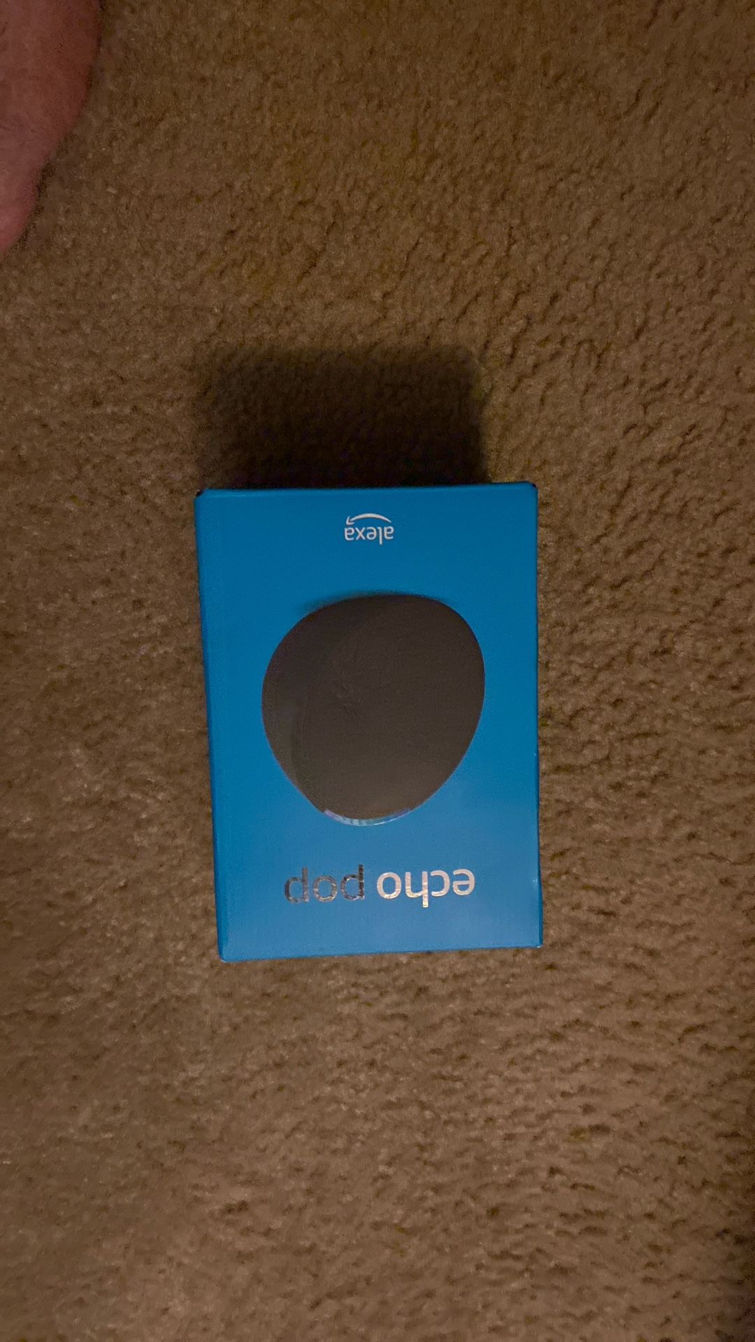 Echo Pop