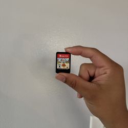 Ryan’s World Racing Nintendo Switch Game