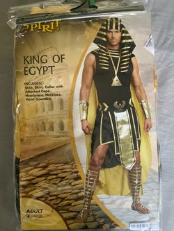 Halloween costume