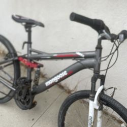 Mountain Bicycle 