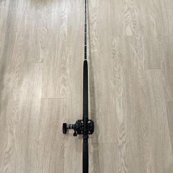 Shimano TLD 30 2-Speed + Calstar Grafighter GFTR-760 (30–80lb) Roller Trolling Combo