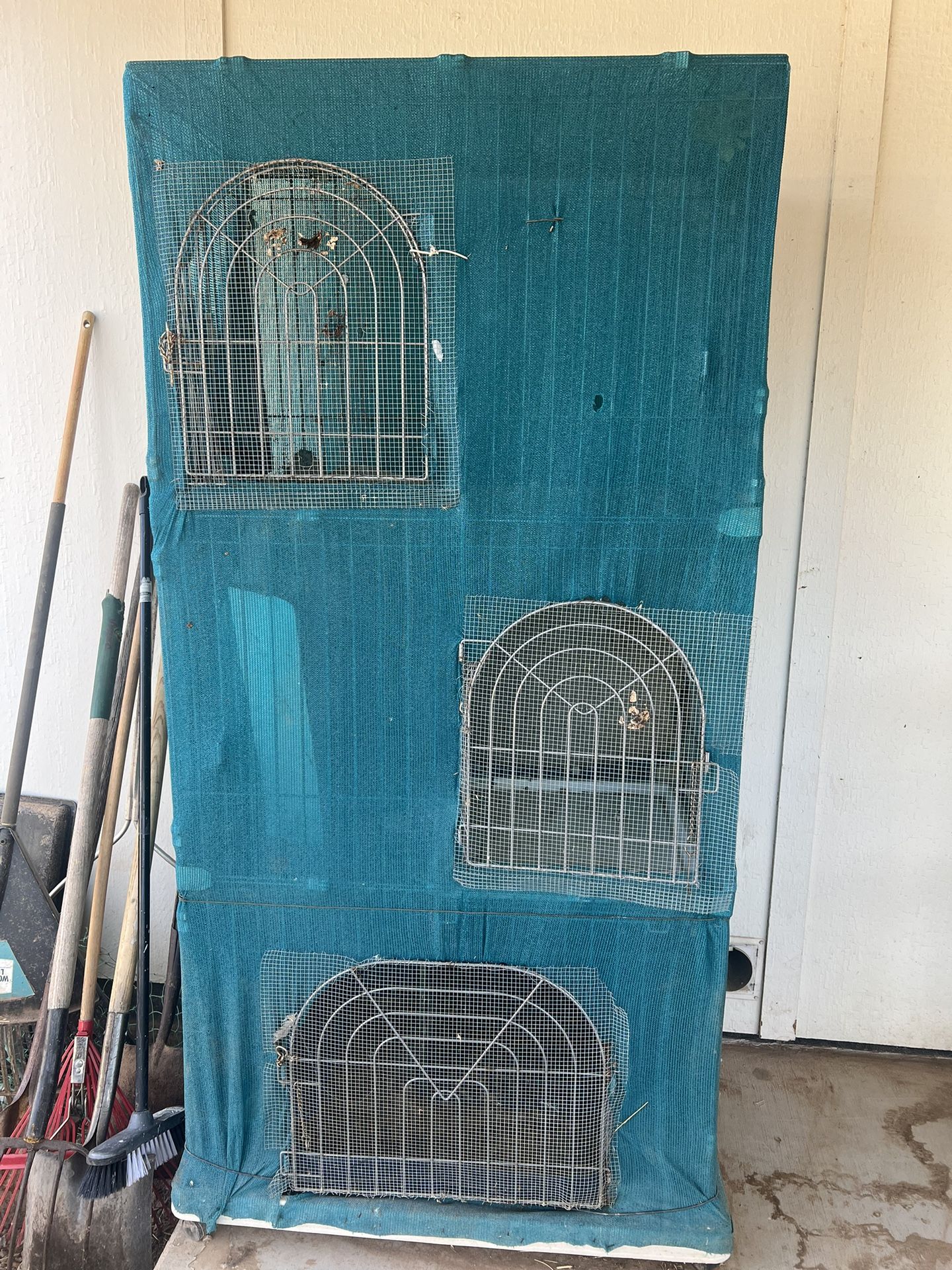 Bird Cage